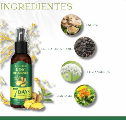 🚨GRAN LANZAMIENTO⚡️ - TONICO JENGIBRE CRECIMIENTO ACELERADO